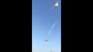 This Is Not A Mouse! #hangglider #funny #pets #cute #travel