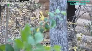 09.10.2022    16.29     Интересно, что внутри моего домика? Мансур.