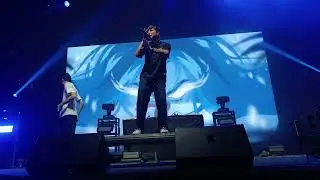 mzlff - снежинка (25.08.2024)