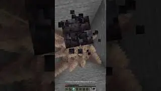 20,000 iq minecraft player