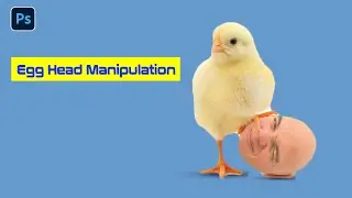 Egg head manipulation |Photoshop Manipulation| Photoshop Manipulation Basic Photoshop tutorial Egg