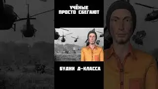 scp sl мем 