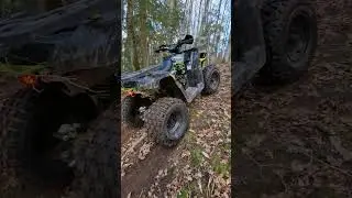 avansis hunter new или хорс 035.