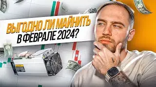 СКОЛЬКО МОЖНО ЗАРАБОТАТЬ НА МАЙНИНГЕ? отчет за февраль 2024!