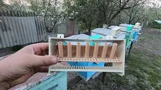 ПЫЛЬЦЕСБОРНИКИ ИЛИ ПЫЛЬЦЕУЛОВИТЕЛИ:) АПИС И АПИС-А, НЕУДОБСТВА ИЗ ЗА РАЗНЫХ РАЗМЕРОВ КРЕПЛЕНИЯ!