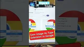 🌏image downloader chrome extension 