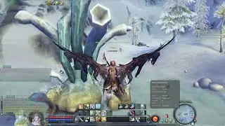 Квест: Патрулирование ледяного озера | Aion Destiny