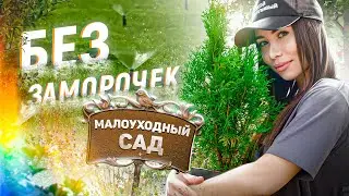 САД МАЛОГО УХОДА 🌱 7 секретов профессионалов. ТОП растений в малоуходный сад