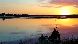 Лещ на Поплавок. Рыбалка с Ночевкой на Чигиринском Водохранилище. Лещ на Удочку.