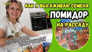 How to sow tomato seeds on seedlings | Step-by-step Instructions for planting tomato seeds @galabum