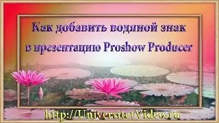 Как добавить водяной знак в презентацию Proshow Producer