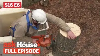 Ask This Old House | Tree Removal, Garage Door Opener (S16 E6) | FULL EPISODE