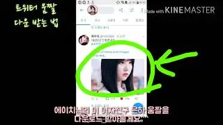 트위터 움짤 저장하는 법 / 트위터 움짤 다운 받는 법 / GIF 움짤 저장 [돈꿀돼지]