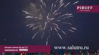 Купить фейерверк Феникс на свадьбу в Самаре и Тольятти