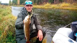 РЫБАЛКА НА СЕВЕРЕ. РАЗДАЧА!!! ШТУРМУЕМ ПЕРЕКАТЫ!