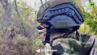 Бои на Купянском направлении: Минометчики накрывают боевиков в лесополосе.
