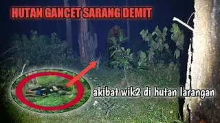 Viral.Muda mudi en*tot di temukan gancet di hutan ini.misteri alas gancet 