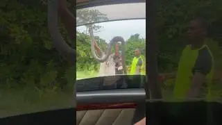 Шок Занзибар! 