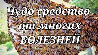 ОГНЁВКА - НАСТОЙКА Номер 1. Восковая Моль. ПЖВМ НА ВОДКЕ.