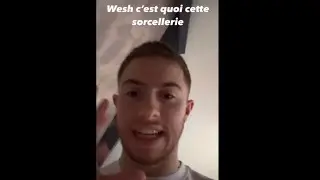 Michou est envahi de fourmis 🐜 🐜