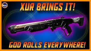 Xur's God Roll Pulse Rifle And Shotgun! Banshee God Roll! At Last A Great Week!