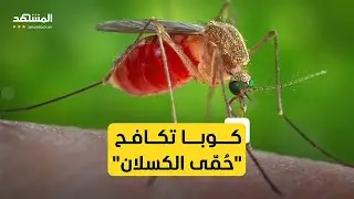 كوبا تبدأ جهود تطهير في هافانا لمكافحة انتشار فيروس "أوروبوش"