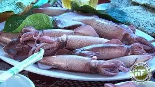 Đặc sản Hà Tĩnh - Mực nhảy Vũng Áng