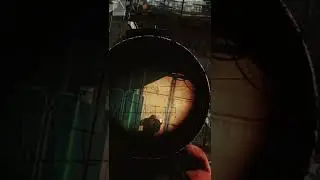 Винторез решил мою судьбу в Tarkov