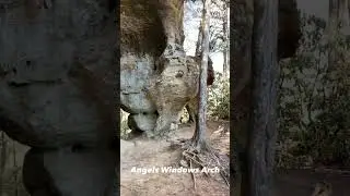 Angels Windows Arch