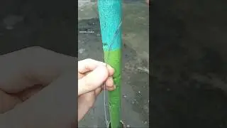 New Helpful Tips and Tricks! How to Easily and Securely Fasten a Steel Cable #shorts #tips #skills
