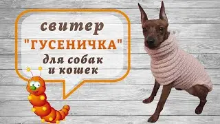 Свитер 