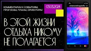 Катрены Создателя ✴ 03.03.2024 “В этой жизни отдыха никому не полагается!” (003/1365)