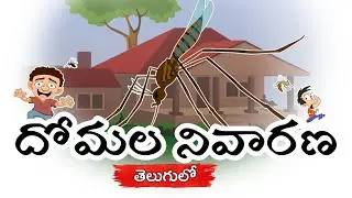 దోమల నివారణ ,How to Prevent Mosquitoes