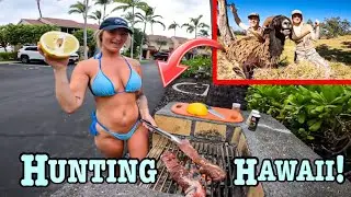 Hunting The HAWAII ISLANDS For A Tasty Catch and Cook!!! (Free Range!!)