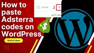How To Setup Adsterra Codes On WordPress Website