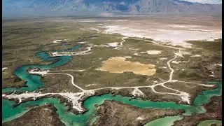 Most Biodiverse Place on Earth: Cuatro Cienegas Coahuila #minidocumentary #science