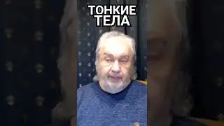 ТОНКИЕ ТЕЛА. Владимир Шемшук. #тонкие_тела #познавательное #рек#шемшук#shorts