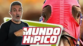 Mundo Hípico TV - Pronósticos para las carreras de este domingo 08 de septiembre en La Rinconada
