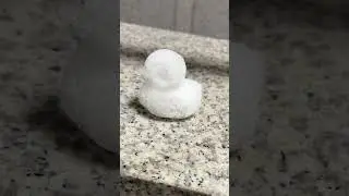 Snow Ducks  
