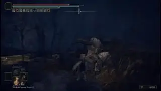 Elden Ring Shadow Of The Erdtree Map Shortcut