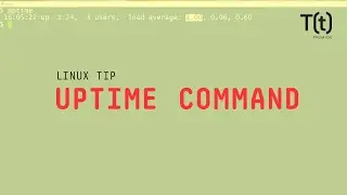 How to use the uptime command: 2-Minute Linux Tips