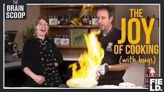 The Joy of Cooking (with Bugs!)
