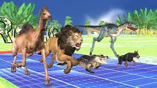 Epic Animal Race in Rainy Day, Lion, Crocodile, Hound, Camel, Dinosaur