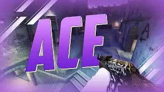 ACE