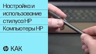 Настройка и использование стилуса HP | Компьютеры HP | HP Support