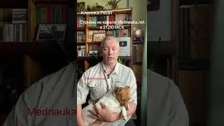 Запрет смены пола