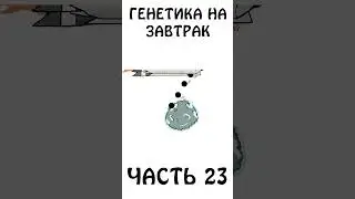 Ученые создали комету! 