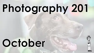 Photography 201: Shallow and Depp Depth of Field Photography