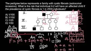 How to solve pedigree problems 11