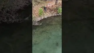 ФОРЕЛЬ! (С КВАДРОКОПТЕРА). Рыбалка.